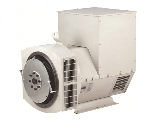 224 Series Alternator AC Synchronous Brushless 